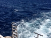 20150716-23_el_gouna_tauchen_egypt_mk073