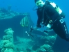 20150716-23_el_gouna_tauchen_egypt_mm113