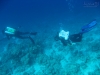 20150716-23_el_gouna_tauchen_egypt_mm376