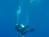 20150716-23_el_gouna_tauchen_egypt_mm439
