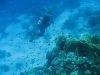20150716-23_el_gouna_tauchen_egypt_mm506