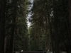 20150924_yosemite_mk94