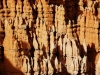 20151004_zion_bryce_mk193