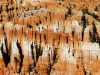 20151004_zion_bryce_mk199