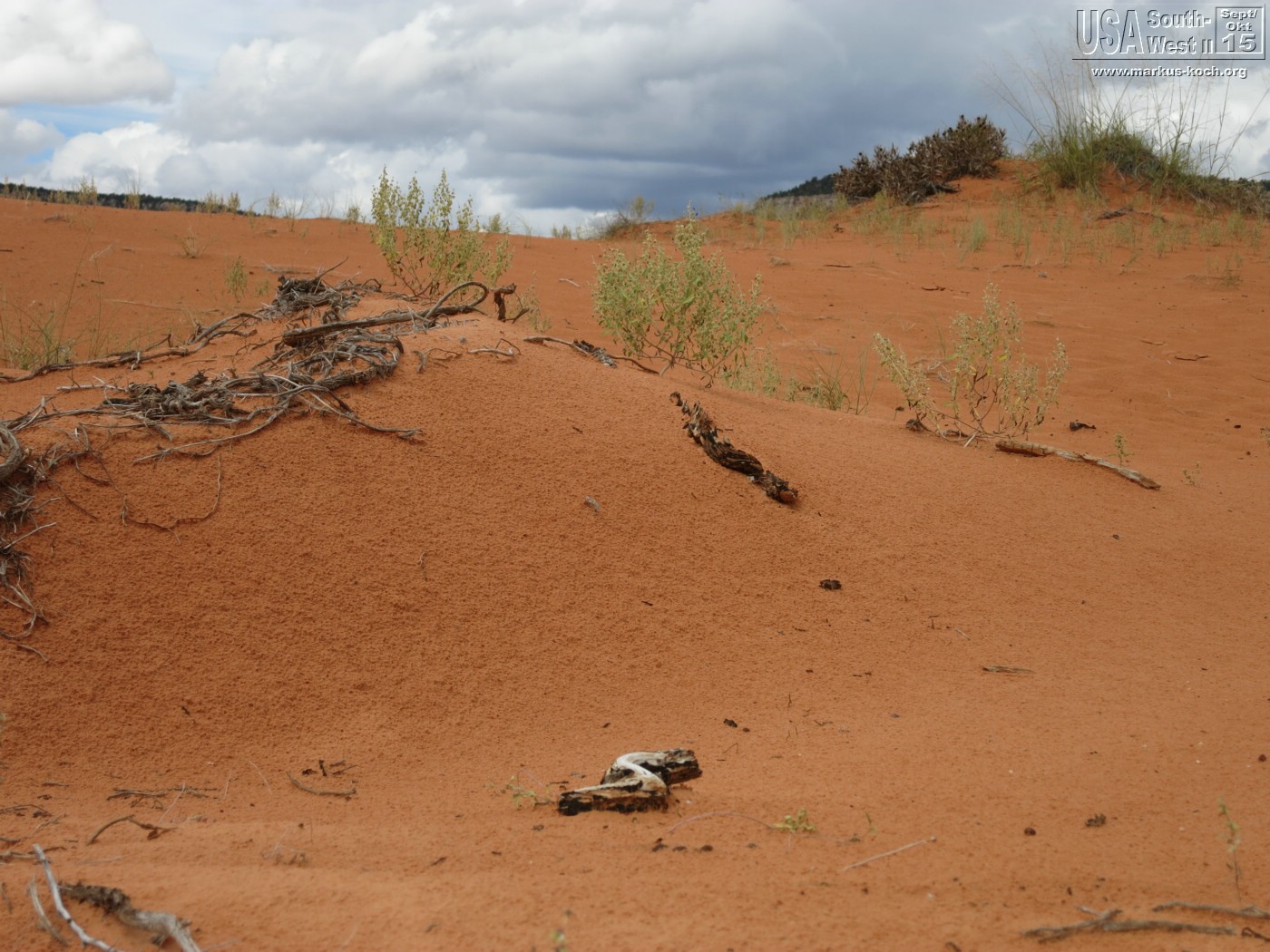 20151005_bryce_coralpinksanddunes_mk52