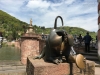 20160430-0501_weinprobe_heidelberg_neustadt_weinstrasse_mk12