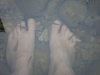 20170427-tag9-ausflug_thailand_mk201