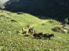 20190913-15_montafon_wandern_mk052