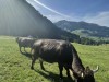 20210924-26_oberjoch_kleinwalsertal_mk105