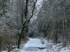 20211205_schneewanderung_rhoen_mk08