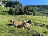 20220701-03_campertour_tannheimertal_mk105