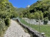 20220819-25_gardasee_idro_bozen_seiseralm_mk276