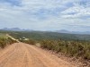 20221103-21_suedafrika_kapstadt_gardenroute_mk0796