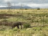 20221103-21_suedafrika_kapstadt_gardenroute_mk0904