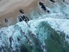 20221103-21_suedafrika_kapstadt_gardenroute_mk1246