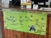 20221103-21_suedafrika_kapstadt_gardenroute_mk1701