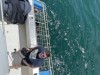 20221103-21_suedafrika_kapstadt_gardenroute_mk2384