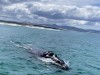 20221103-21_suedafrika_kapstadt_gardenroute_mk2989