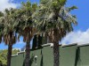 20221103-21_suedafrika_kapstadt_gardenroute_mk3497