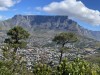 20221103-21_suedafrika_kapstadt_gardenroute_mk3543