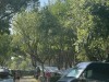 20230819-30_campertour_AT_SLO_IT_DE_mk460