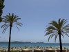 20240524-29_mallorca_mk293