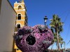 20250316-24_mexiko_baja_california_sur_mk0330