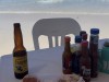 20250316-24_mexiko_baja_california_sur_mk0709