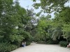 20250524-28_athen_mk233
