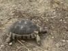 20250524-28_athen_mk261