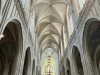 20250610-15_koeln_renissee_holland_mk042