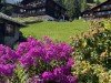 20250816-20_schweiz_rheinfall_jungfrauregion_mk269