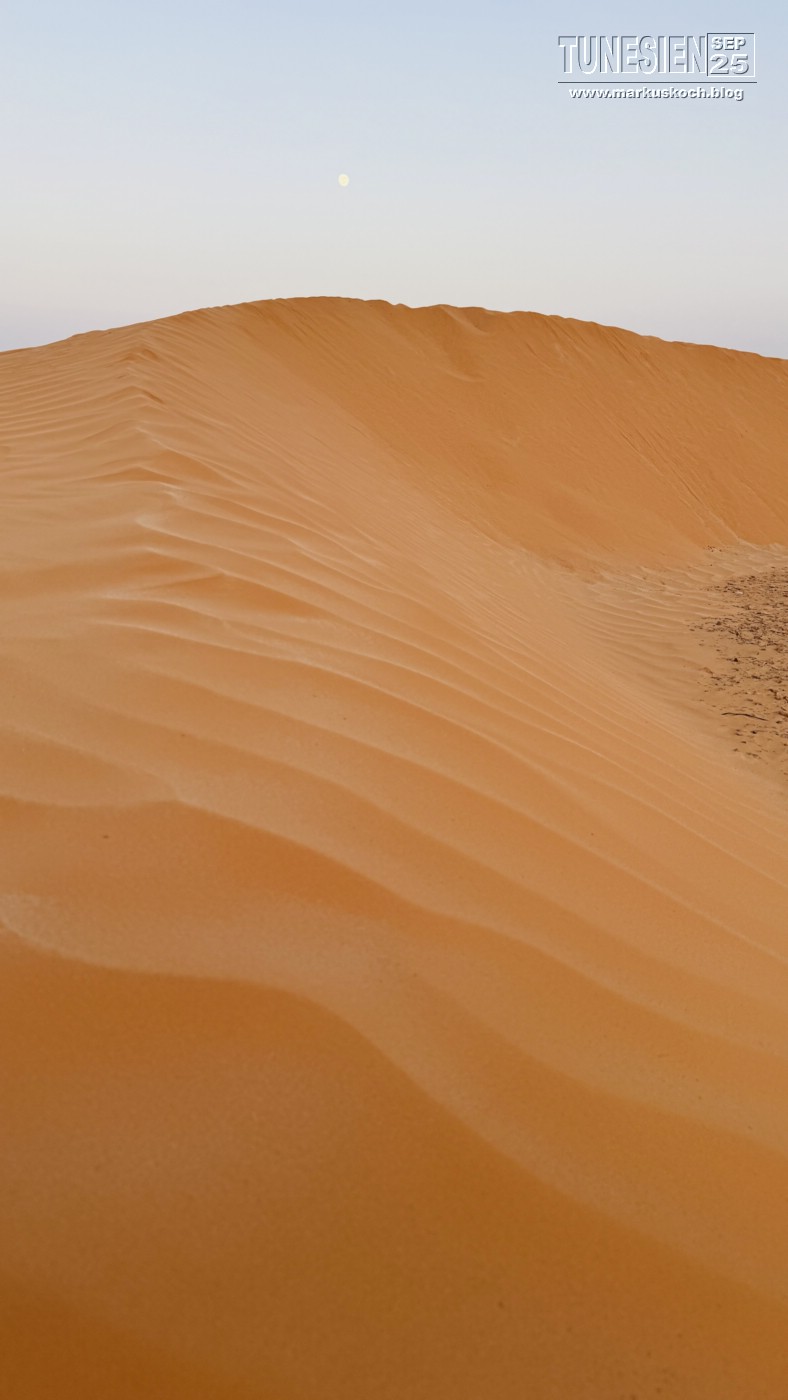 20250903-13_magiclife_penelope_beach_djerba_tunesien_mk251