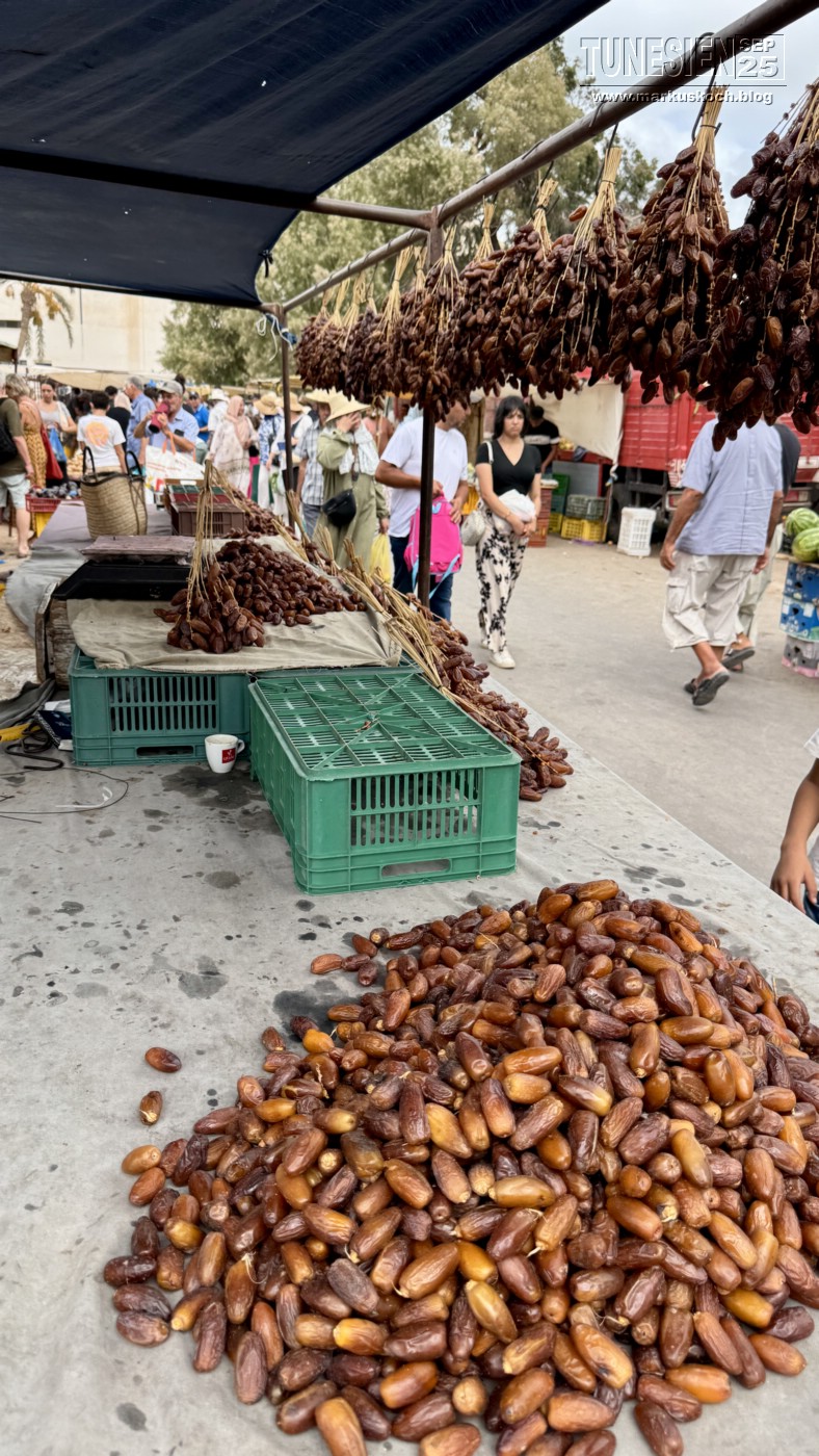 20250903-13_magiclife_penelope_beach_djerba_tunesien_mk697