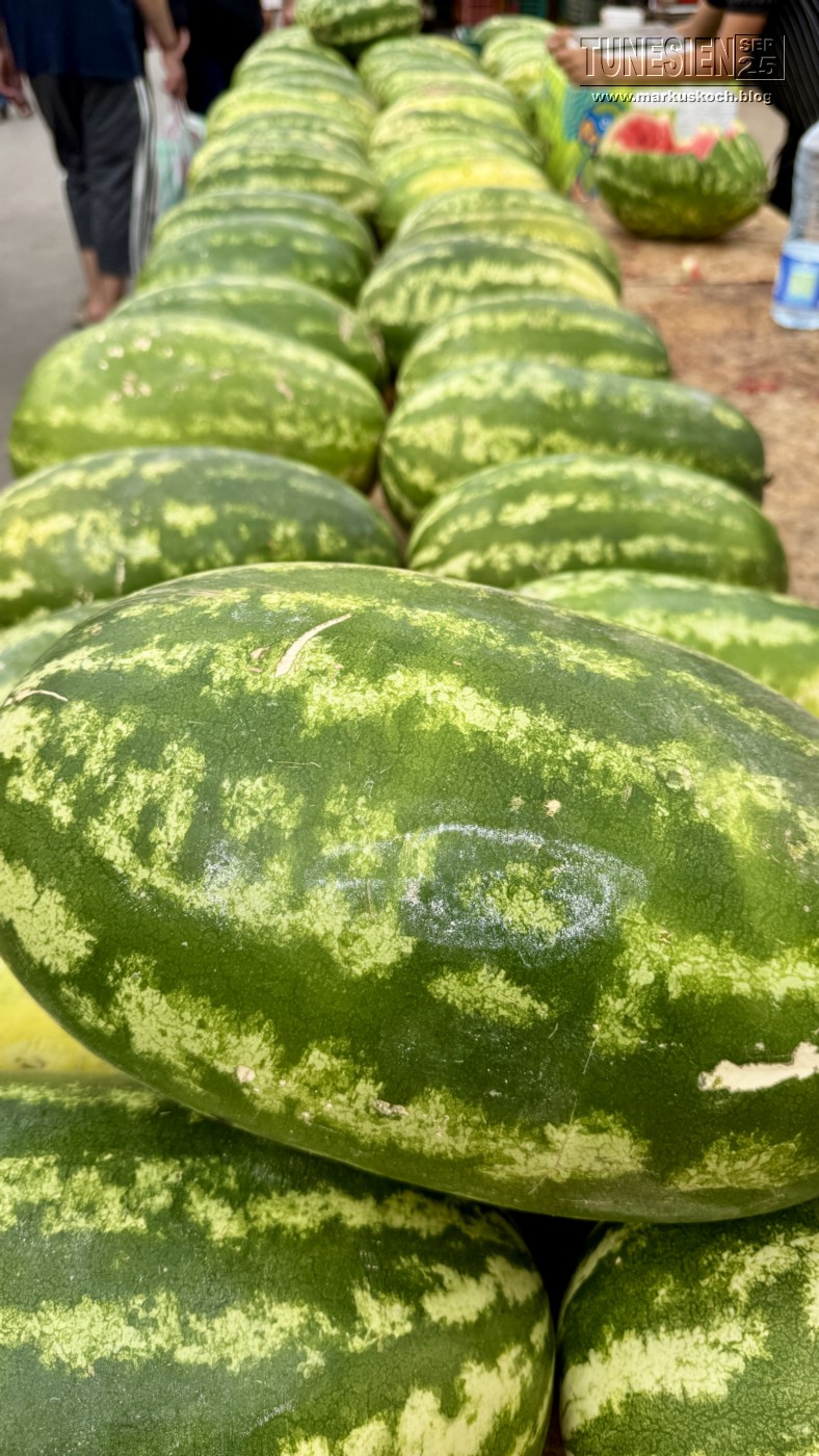 20250903-13_magiclife_penelope_beach_djerba_tunesien_mk699