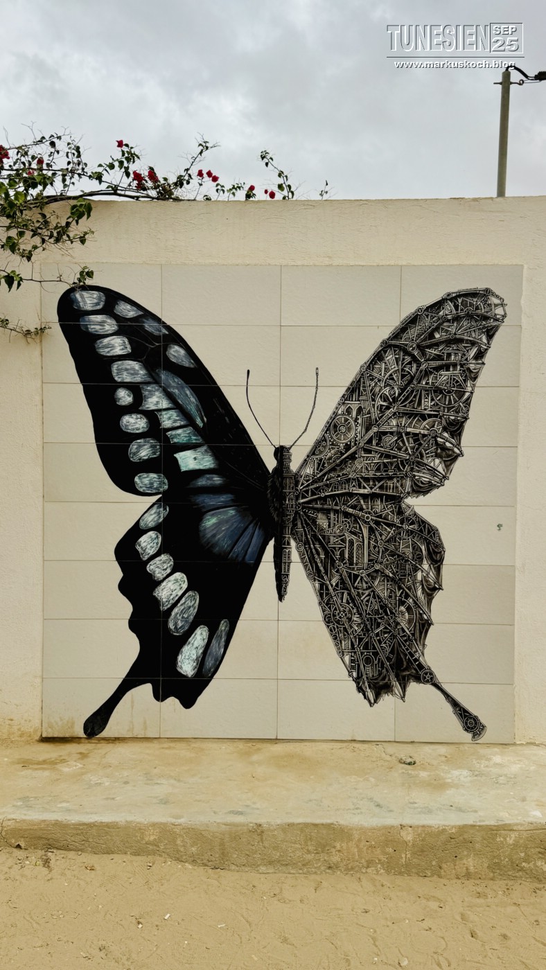 20250903-13_magiclife_penelope_beach_djerba_tunesien_mk730