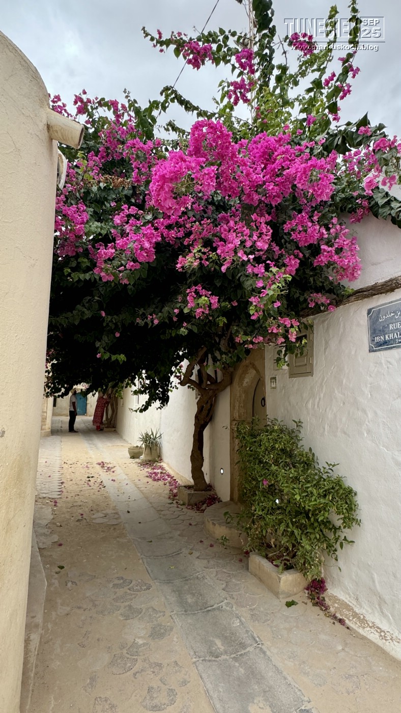 20250903-13_magiclife_penelope_beach_djerba_tunesien_mk758