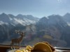 20260116-20_skiing_ischgl_galtuer_kappl_mk609